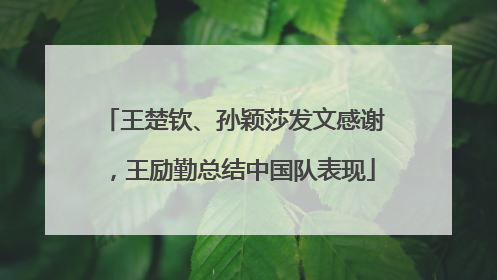 王楚钦、孙颖莎发文感谢，王励勤总结中国队表现